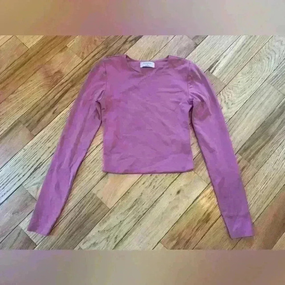 Aritzia Babaton Sculpted Long Sleeve Crop Top Minimalist Women’s Size XS Pink - Picture 1 of 9